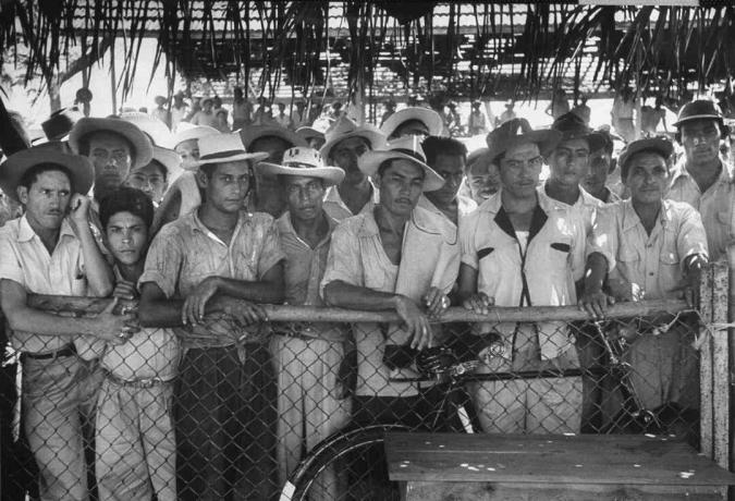 Trabalhadores da United Fruit Co.