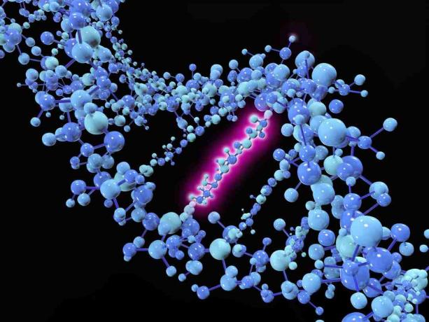 Uma mutação pontual é uma mutação genética em que uma única base nucleotídica é alterada, inserida ou excluída de uma sequência de DNA ou RNA.