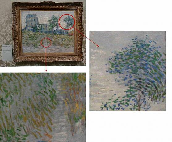 Vincent van Gogh (Museu Ashmolean)
