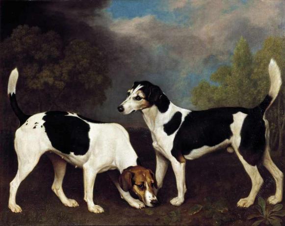 george stubbs, par, de, foxhounds