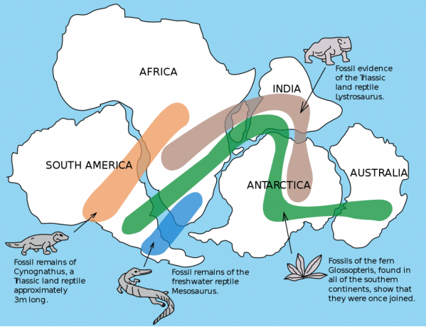 Mapa do mundo ilustrando a teoria da deriva continental