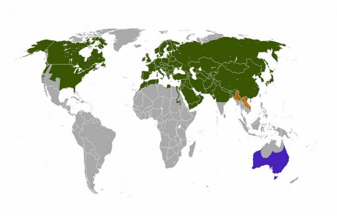 Distribuição de raposa vermelha