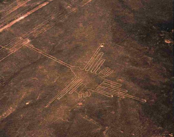 Vista aérea do geoglyph beija-flor, linhas de Nazca