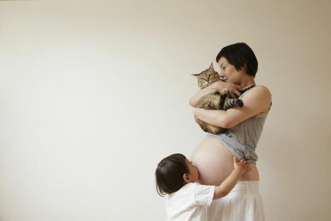 Uma mulher grávida com um gato