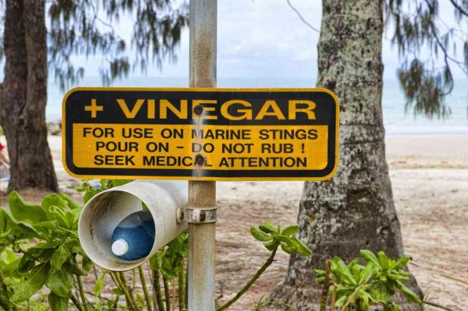 Cadastre-se para vinagre para picadas de água-viva