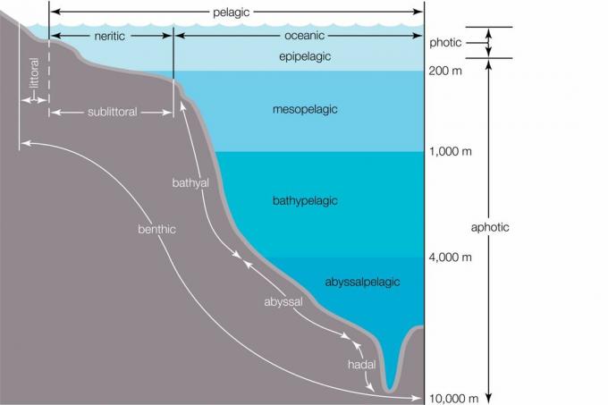 Zonas oceânicas