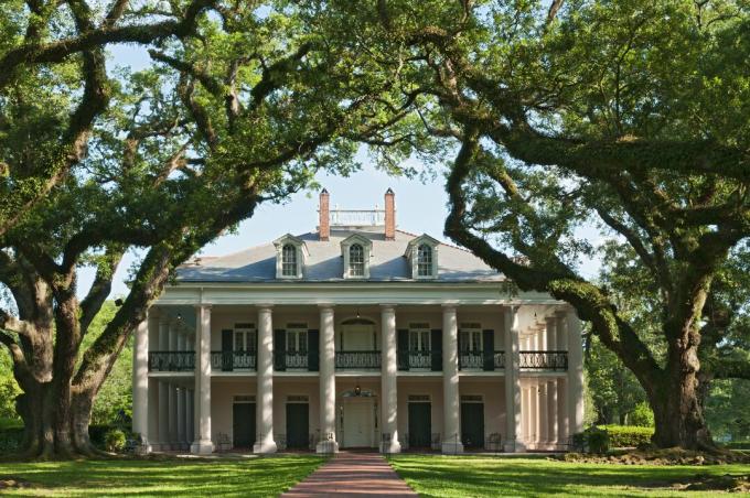 Plantação de carvalho em Vacherie, Louisiana.