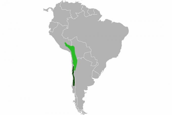 Mapa da faixa de chinchila