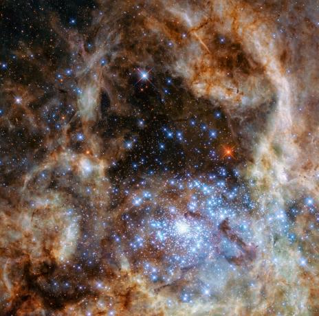 Estrelas de grande massa na Grande Nuvem de Magalhães