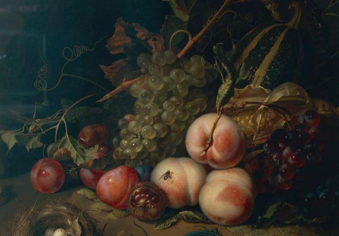 Comp Save to Board Itália, Florença, Natureza morta com frutas e insetos por Rachel Ruysch, 1711, óleo sobre tela, detalhe