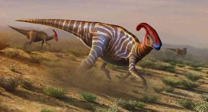 Obras de arte de parasaurolophus