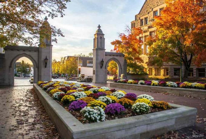 Ame minha escola, especialmente no outono - Indiana University Of Bloomington
