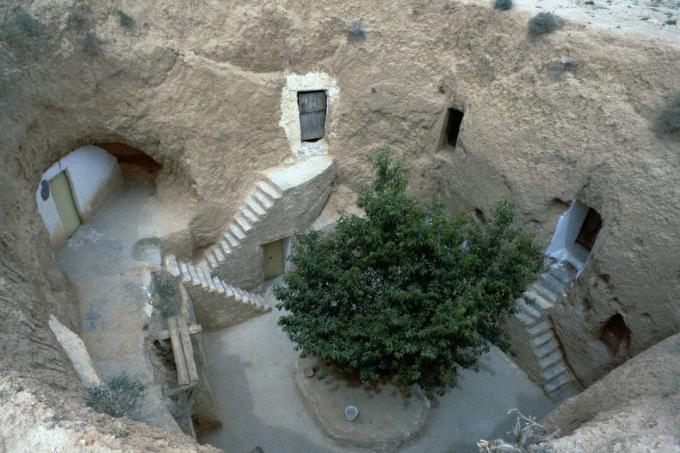 escadas, portas e janelas fornecem acesso aos espaços de vida esculpidos na terra - uma árvore está no centro da comunidade a céu aberto