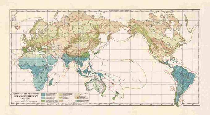 Zonas de vegetação do mundo, litografia, publicada em 1897