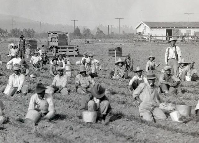 Agricultura no vale de San Fernando, ca. 1920