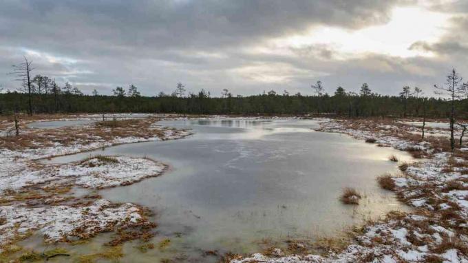 Turfa estoniana Bog Lake no inverno