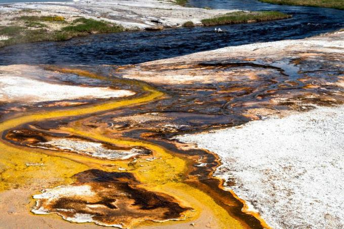 Termófilos, bactérias e outros microorganismos que crescem melhor em temperaturas mais altas do que o normal, criam cores interessantes dentro e ao redor das piscinas no Parque Nacional de Yellowstone