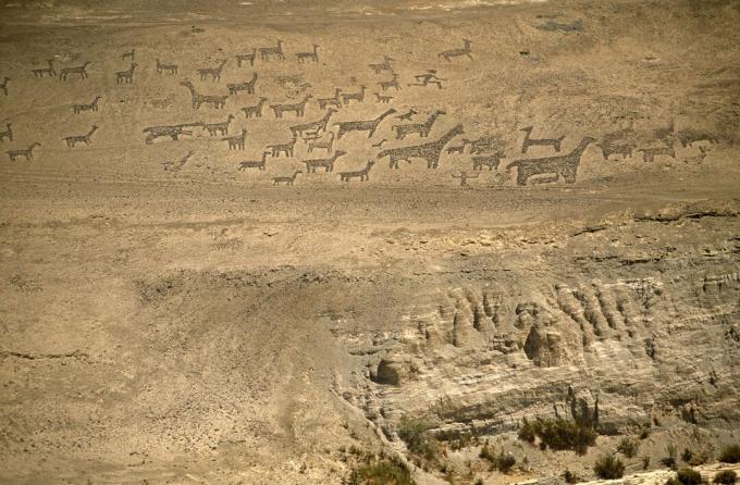 Chile, Região I, Tiliviche. Geoglifos em uma montanha perto de Tiliviche, norte do Chile - representações de Lhamas e Alpacas