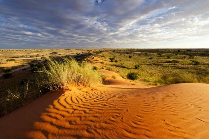 Os Desertos Mais Surpreendentes Da Frica