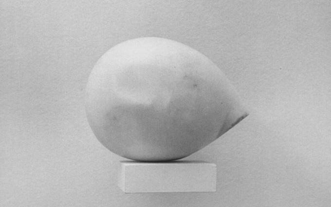 Constantin Brancusi, chefe de Prometeu