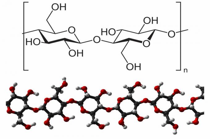 Estrutura química da celulose