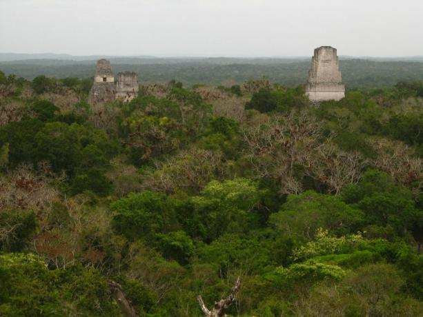 Tikal - a base rebelde