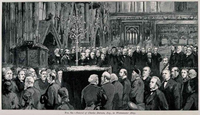 A cerimônia fúnebre de Charles Darwin na Abadia de Westminster, em abril de 1882