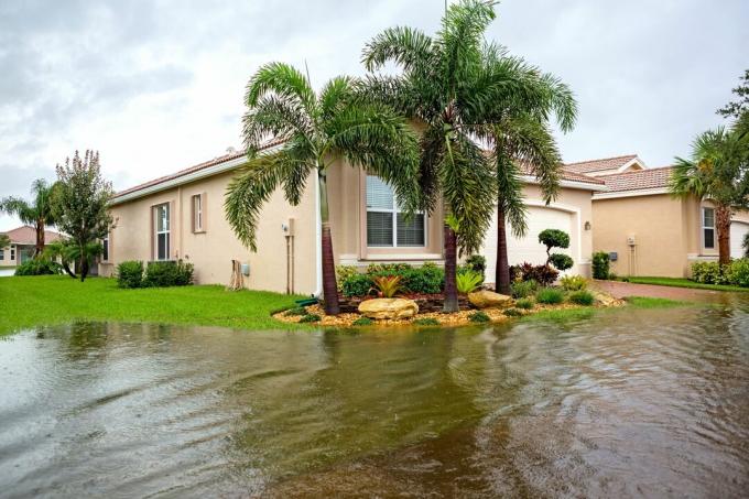 Reivindicação de seguro: inundações de um furacão