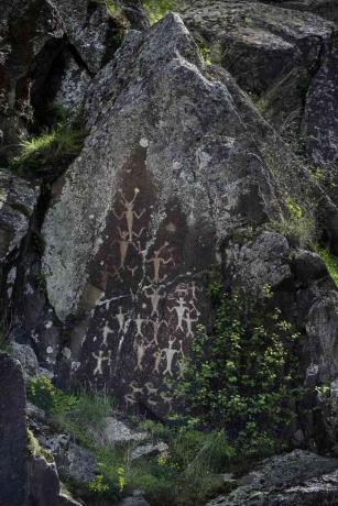 Petroglyphs do redemoinho do búfalo, rio Snake, Idaho