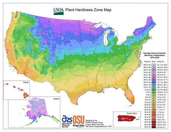 Mapa da zona de robustez de plantas dos EUA