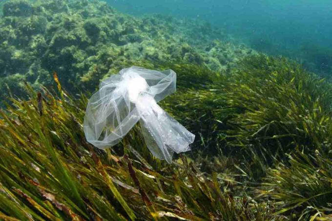 Saco de plástico no mar. Isso pode ser perigoso para as tartarugas marinhas que as confundem com comida, como a água-viva.