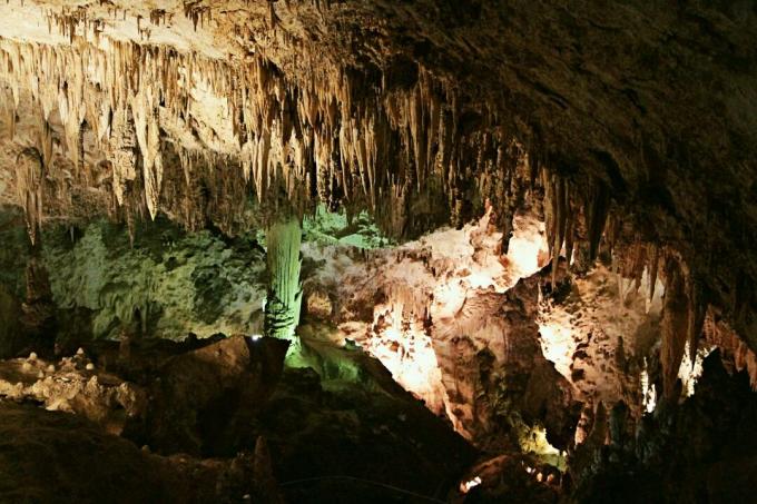 Parque Nacional das Cavernas de Carlsbad