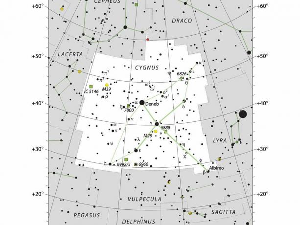 A constelação de Cygnus o cisne.