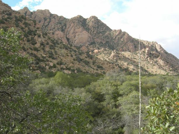 Fortaleza Oriental de Cochise, Dragoon Mountains, sudeste do Arizona.