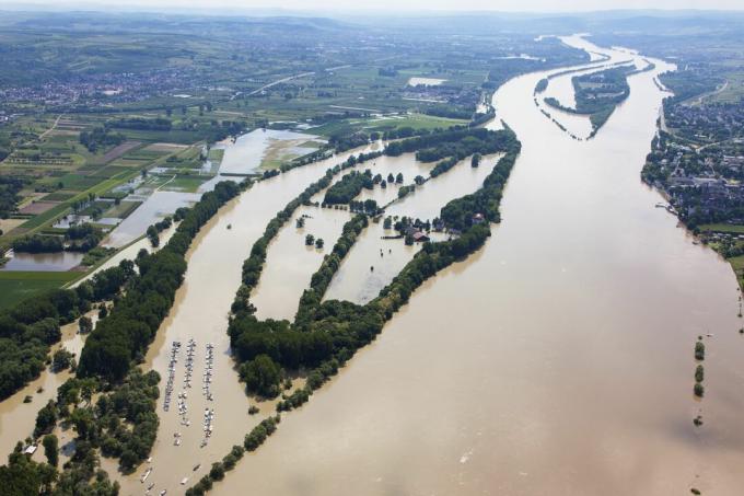 Alemanha, hesse, eltville, inundações, de, rio reno ilha koenigskling aue, foto aérea